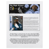 The Night Stinger Clip flyers