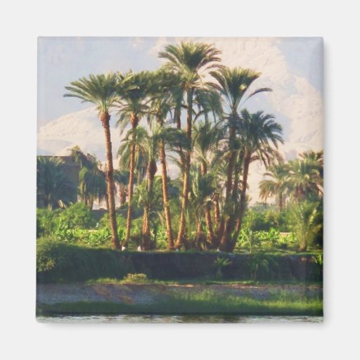 The Nile River in Egypt,  Luxor Refrigerator Magnets