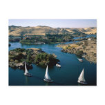 The Nile River Post Cards