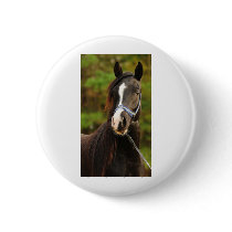 The Noble Arabian Buttons