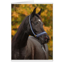 The Noble Arabian Greeting Card