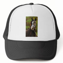 The Noble Arabian Trucker Hats