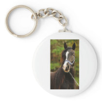 The Noble Arabian Key Chains