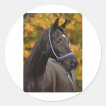 The Noble Arabian Round Sticker