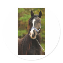 The Noble Arabian Round Stickers