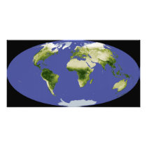 The Normalized Difference Vegetation Index