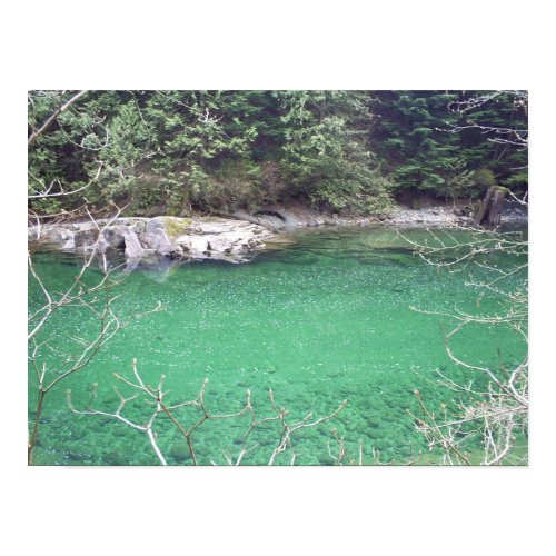 The North Beach Trail print