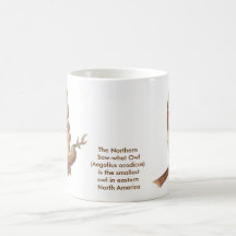 The Northern Saw-whet Owl Mug