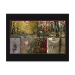 The Northwoods Of Wisconsin Postcards
