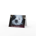 The nose knows...... cards
