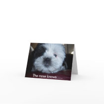 The nose knows...... cards by ingridtiger The nose knows...... cards
