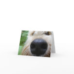 The nose knows! greeting card