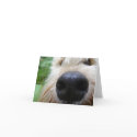 The nose knows! cards