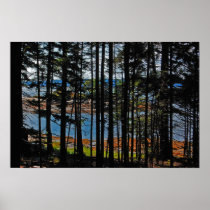 "The Nub Through Pines" Poster