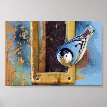 The Nuthatch Print