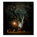 The Oak Tree posters by tullyfoote The Oak Tree posters