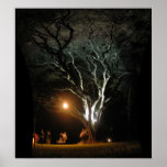 The Oak Tree Posters