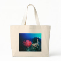 The Ocean bags