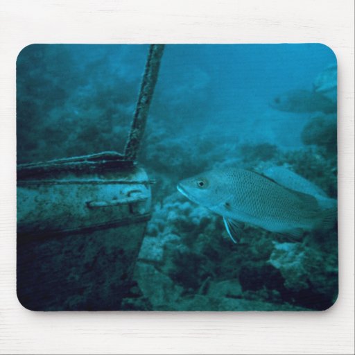 The Ocean Floor Mouse Pads