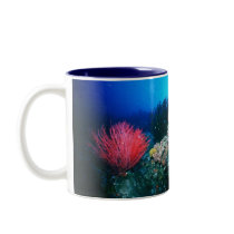The Ocean mugs