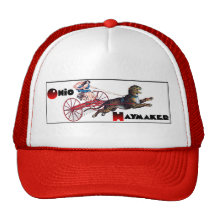 The Ohio Haymaker Hat