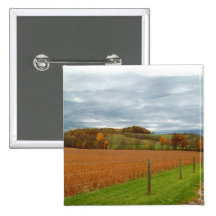 The Ohio Valley Pins