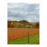 The Ohio Valley Postcard