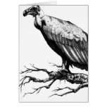 The Old Buzzard Greeting Card