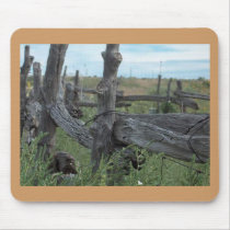 The Old Fence Mousepad