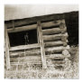 The Old Log Cabin