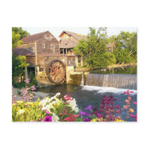The Old Mill postcards
