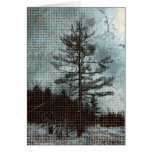 "The Old Pine" Photo Art cards