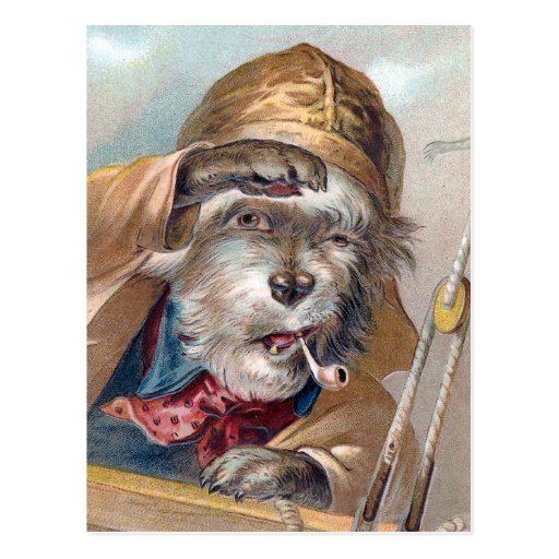 "The Old Sea Dog" Vintage Postcard Zazzle