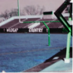 THE OLD STADIUM PHOTO SCULPTURES