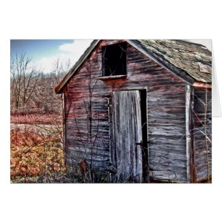 THE OLD WOODEN SHED