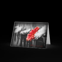 The one and only Greeting Card