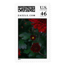 The One in the Middle (Large) postage