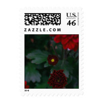 The One in the Middle (Small) postage