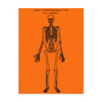 the only skeleton in my closet postcards by holycrocodile the only skeleton in my closet postcards