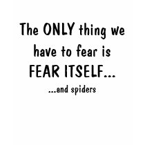 The only thing to fear is fear itself t-shirts