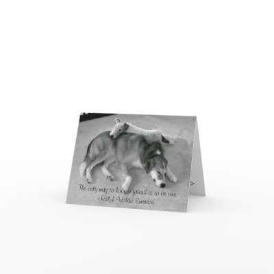 The Only Way To Have A Friend Is To Be A Friend Cards by malibuitalian