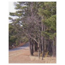 The Open Road letterhead