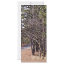 The Open Road rack cards