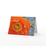 The Orange Flower Greeting Cards
