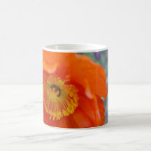 The Orange Flower Mugs