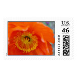 The Orange Flower Stamp