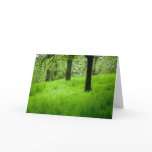 The Orchard Greeting Card