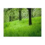 The Orchard Postcard