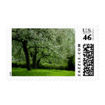 The Orchard Stamp