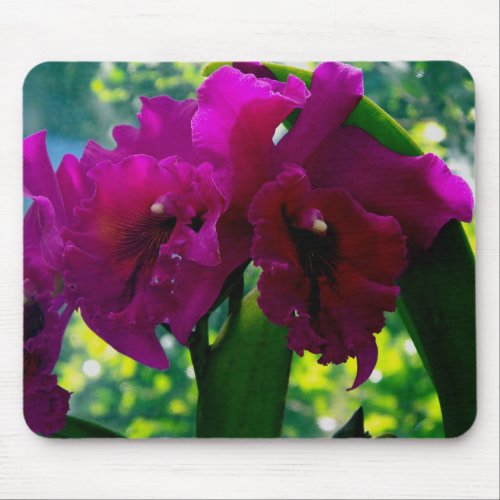 The Orchid mousepad